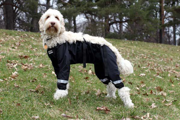 pantalon chien 4 pattes