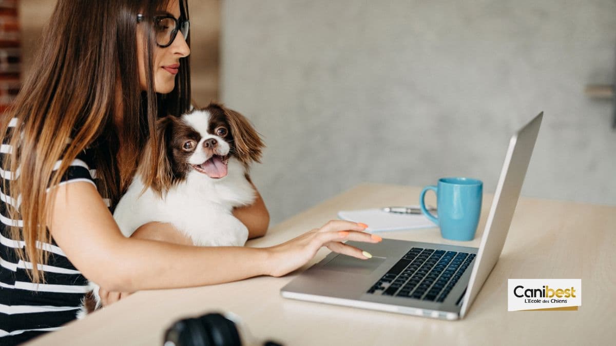 Nouveau site web de l&rsquo;école des chiens