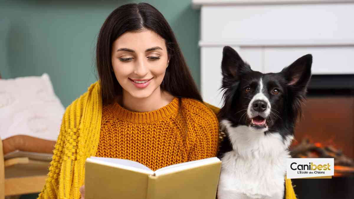 Un chien pour apaiser des étudiants en période d’examen