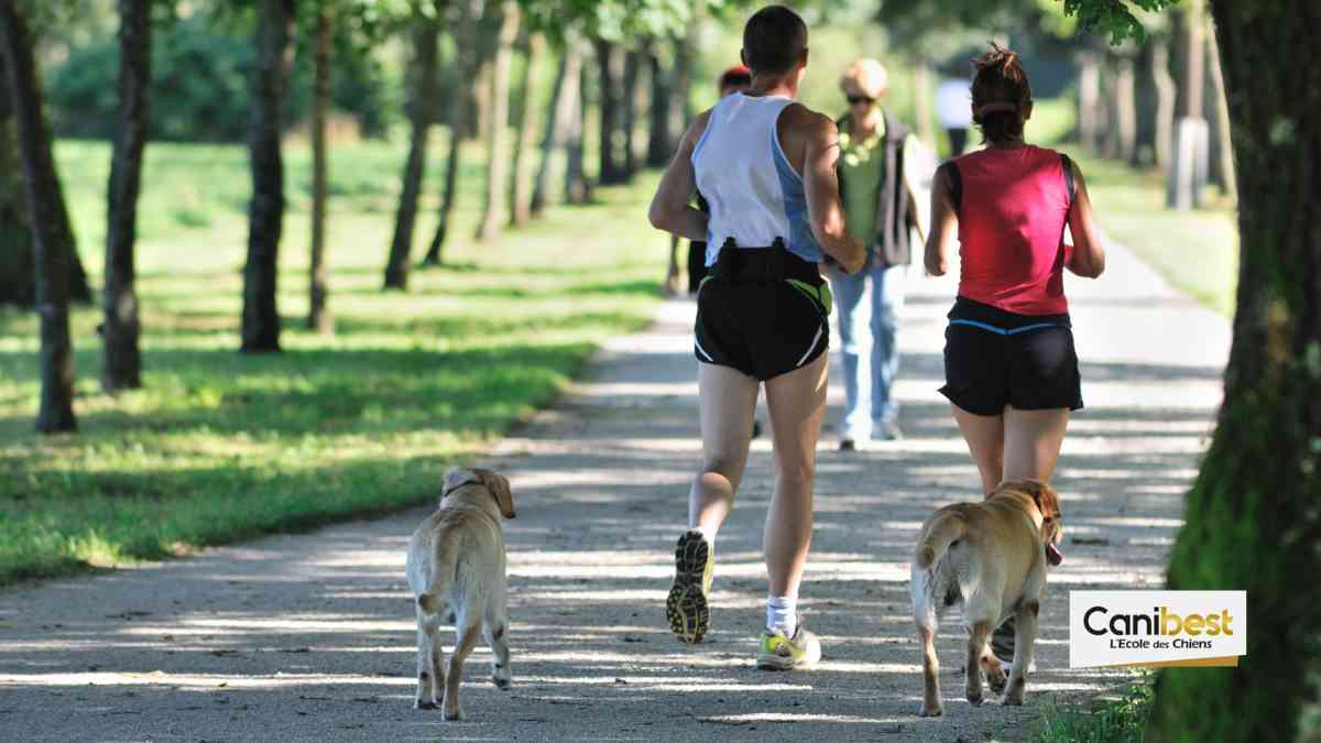 La Wamiz Run va vous permettre de courir avec votre chien !