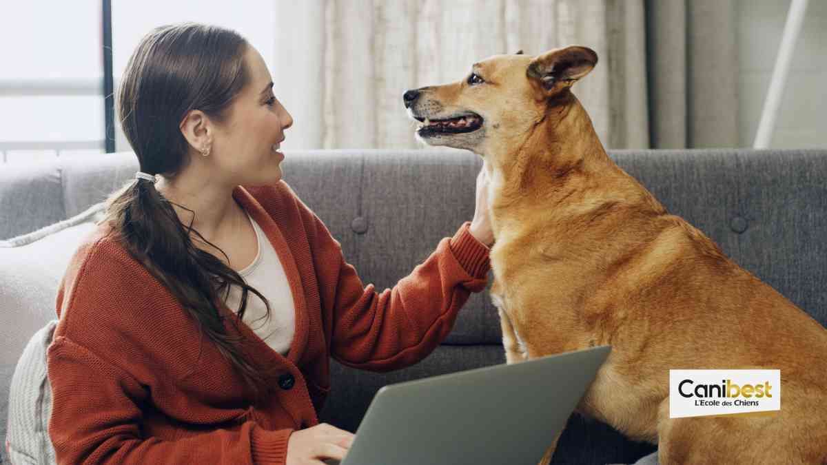 Un traducteur pour chien bientôt disponible ?