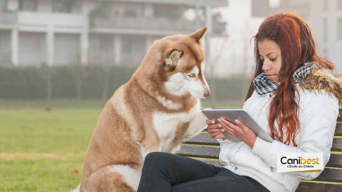 Les chiens auront bientôt leur tablette tactile interactive