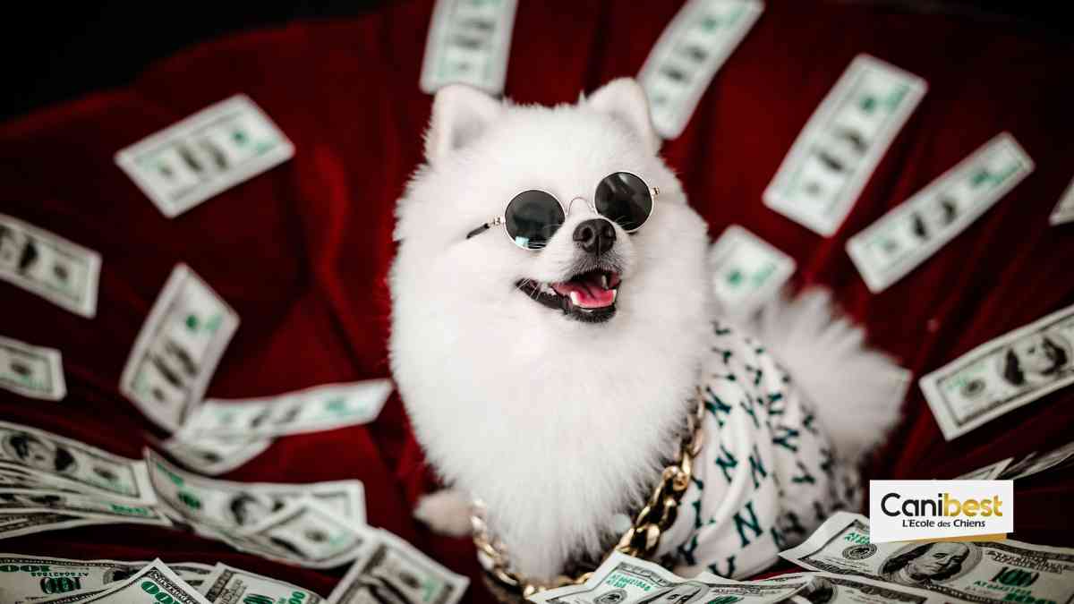 Une allocation chômage accordée à un … chien