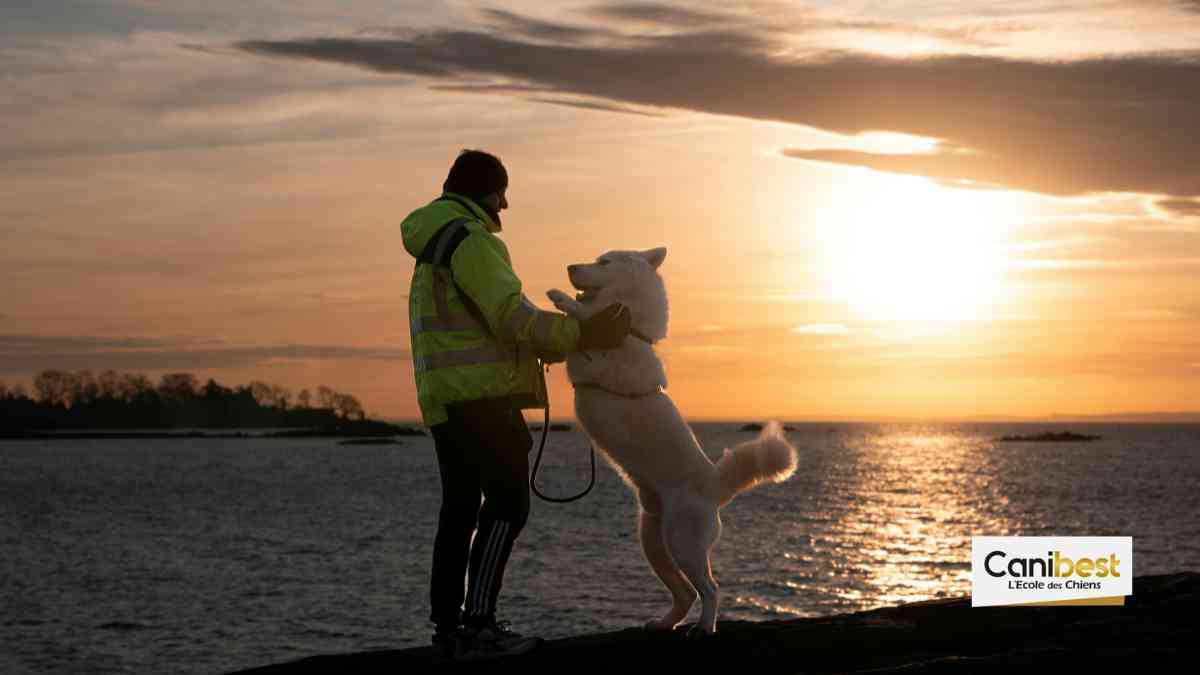 Bordeaux est la 4ème la ville la plus accueillante pour les chiens !