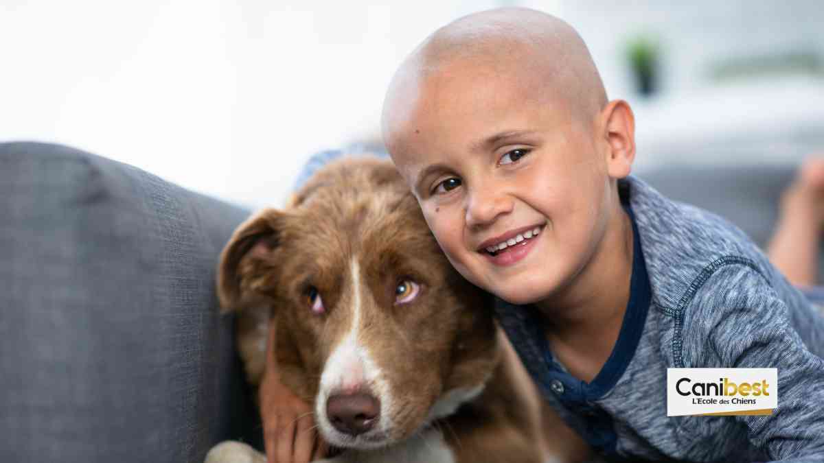 Un livre sur les chiens qui dépistent le cancer