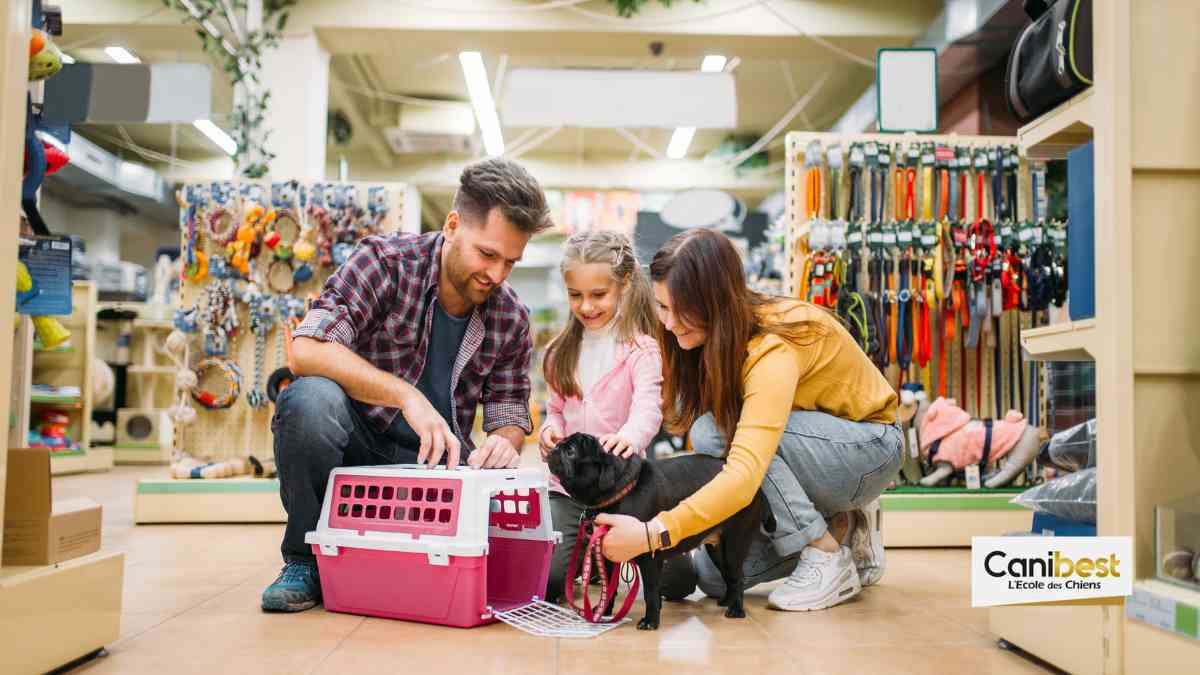 Un surcoût imposé à ceux qui achètent leur chien au lieu de l’adopter