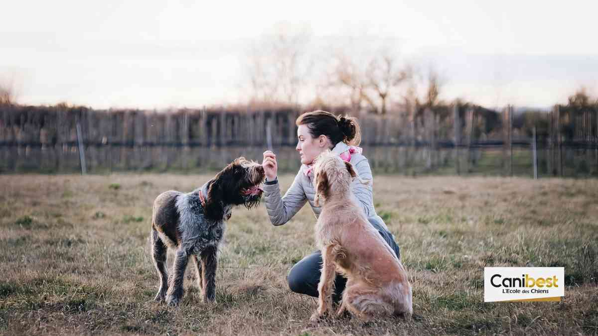 Votre éducateur canin Canibest s’installe prochainement à Bordeaux !