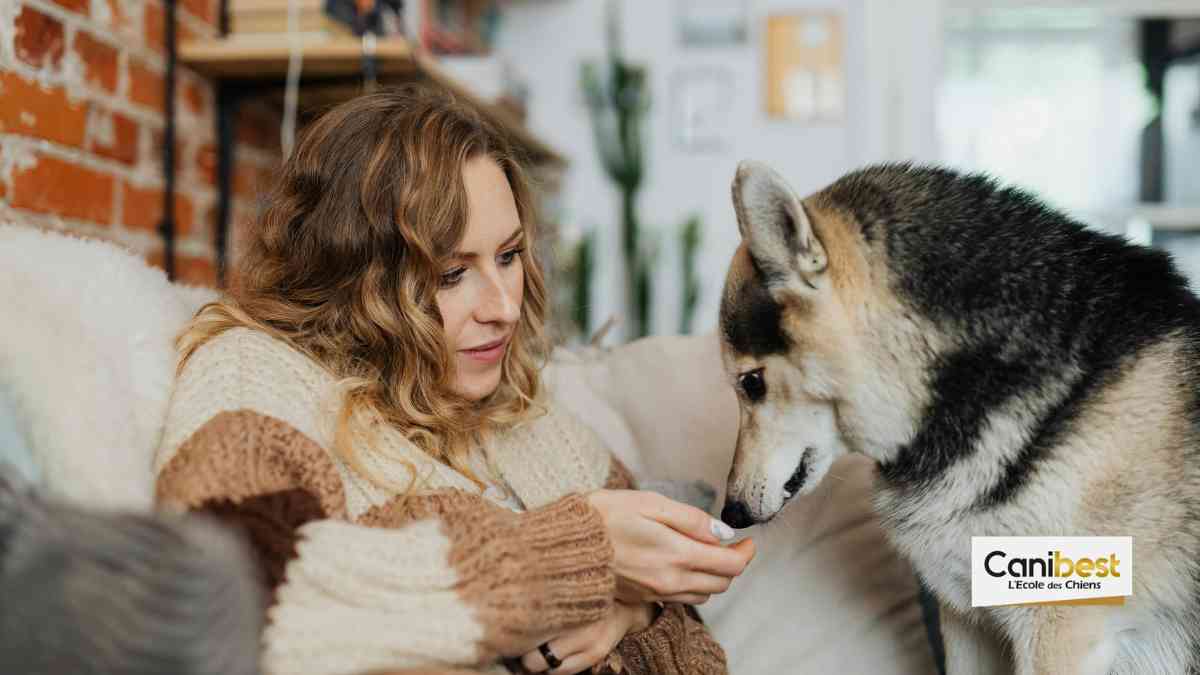 Les chiens peuvent détecter les problèmes de glycémies des diabétiques