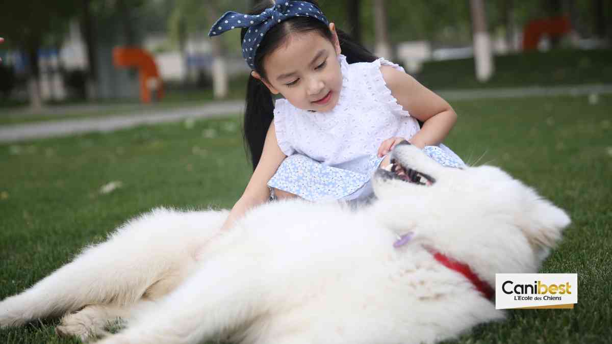 En chine pour posséder un chien un permis à points est nécessaire