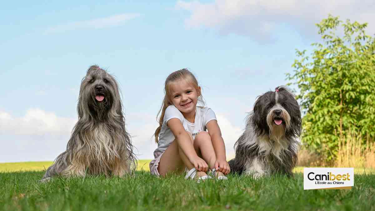 Le comportement canin expliqué à 1500 enfants