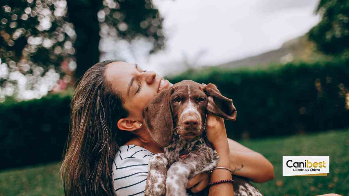 Un permis de détention pour chiens bientôt mis en place en France ?