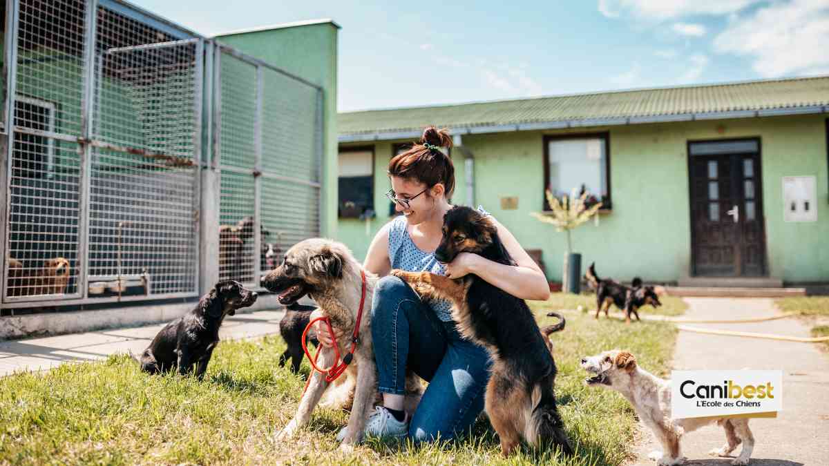 Une marque de biere partenaire d&rsquo;un refuge pour animaux