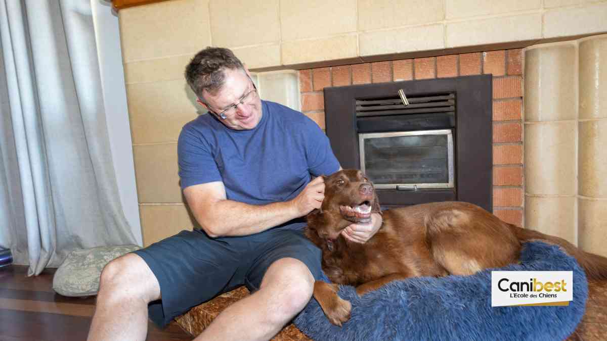 Vivre avec un chien à Aix-en-Provence (13)