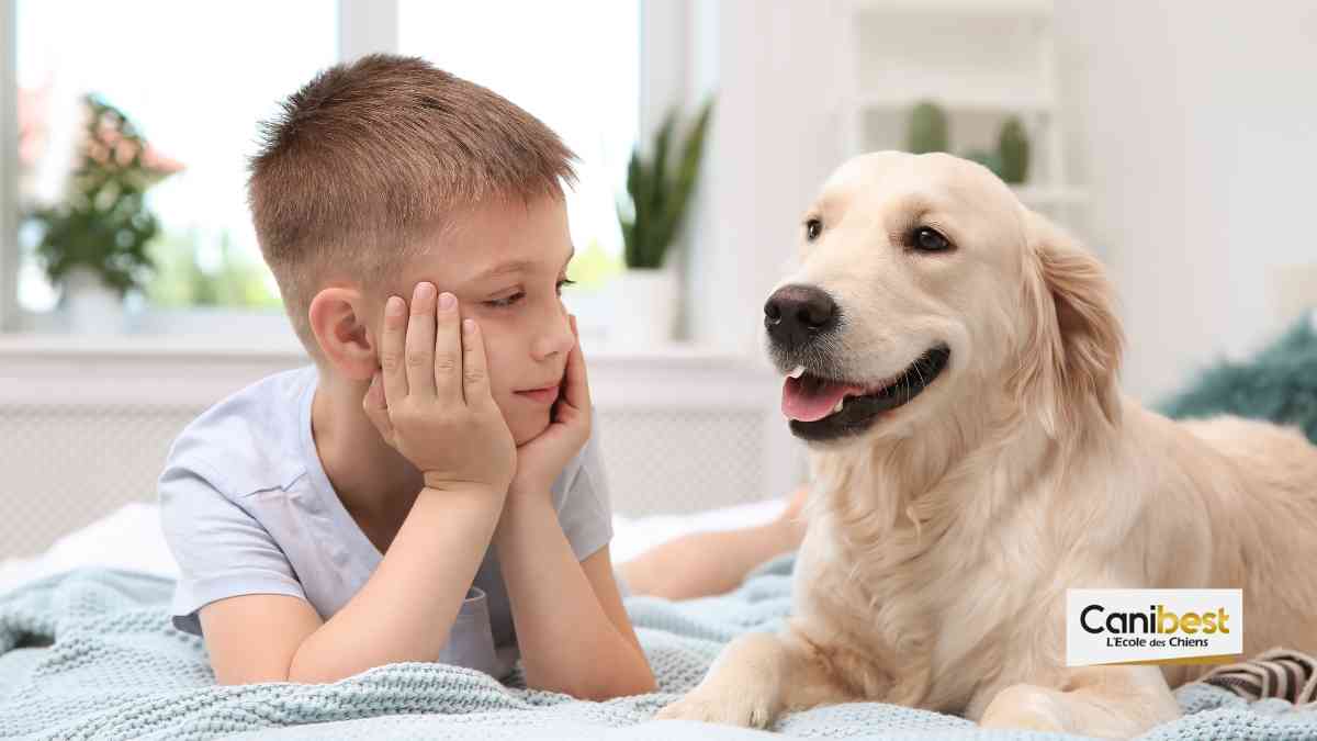 Vivre avec un chien à Lyon (69)