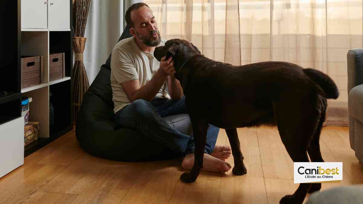 Vivre avec un chien à Nantes (44)