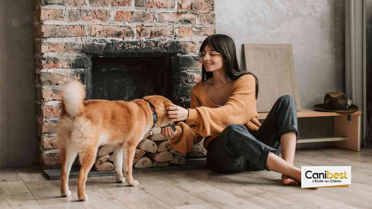Vivre avec un chien à Rouen (76)