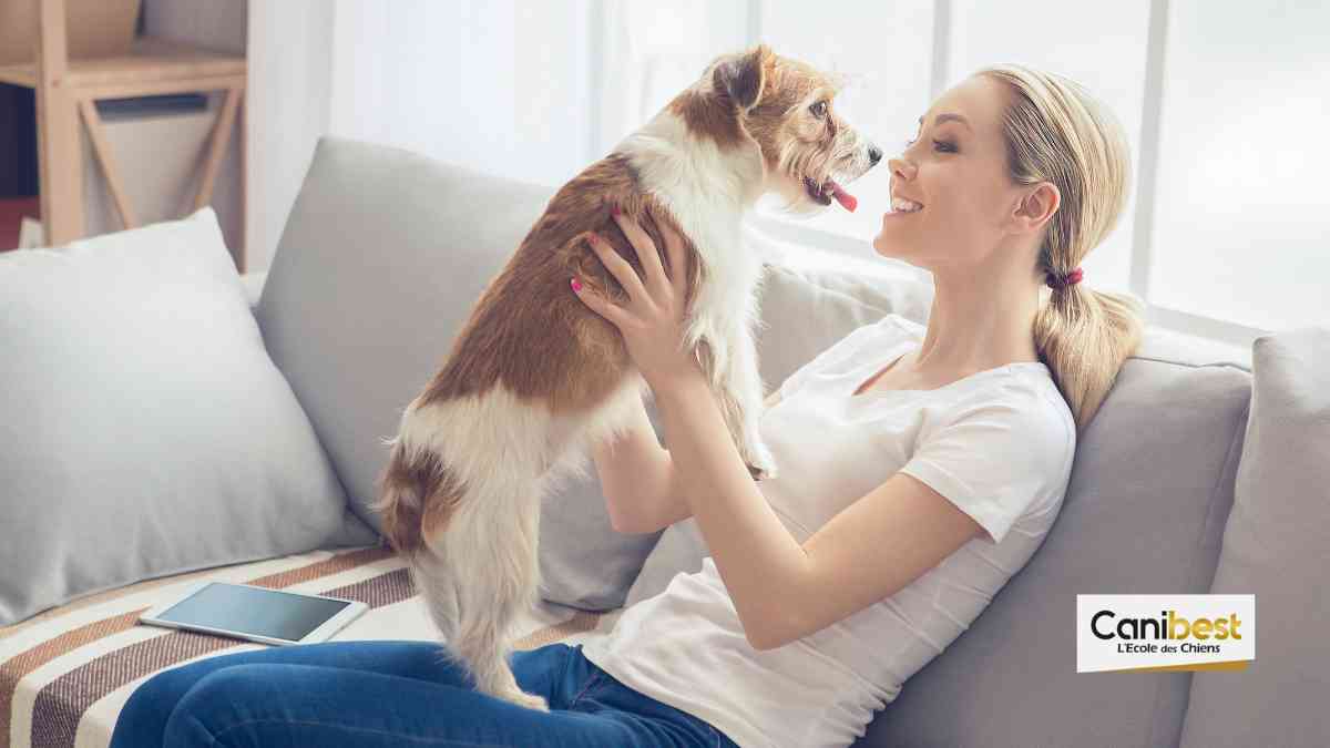 Vivre avec un chien à Bordeaux (33)