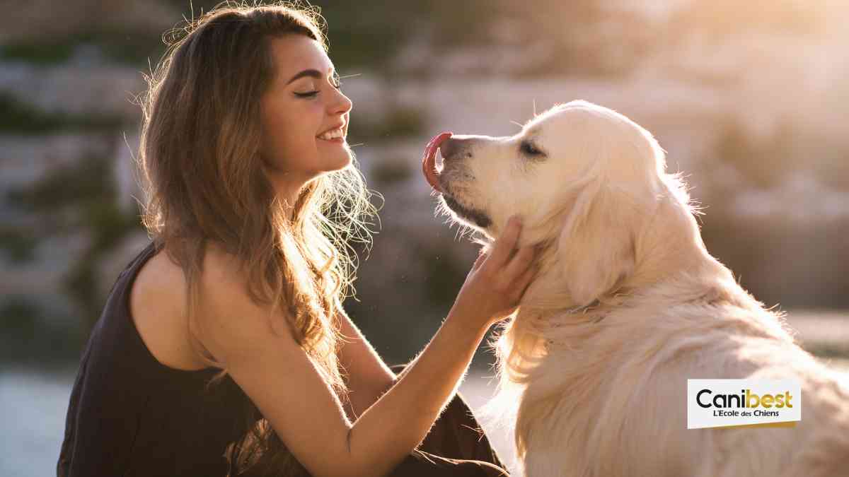 Un chien mieux qu’une relation de couple pour 20% de la population