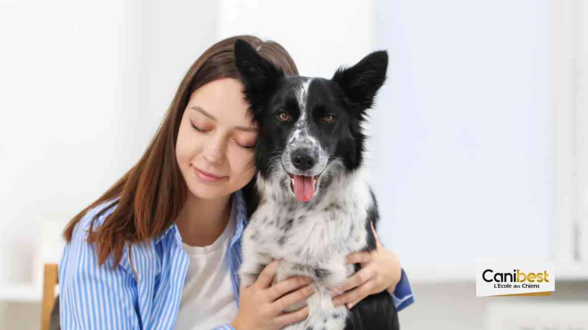 Vivre avec un chien à Toulouse (31)