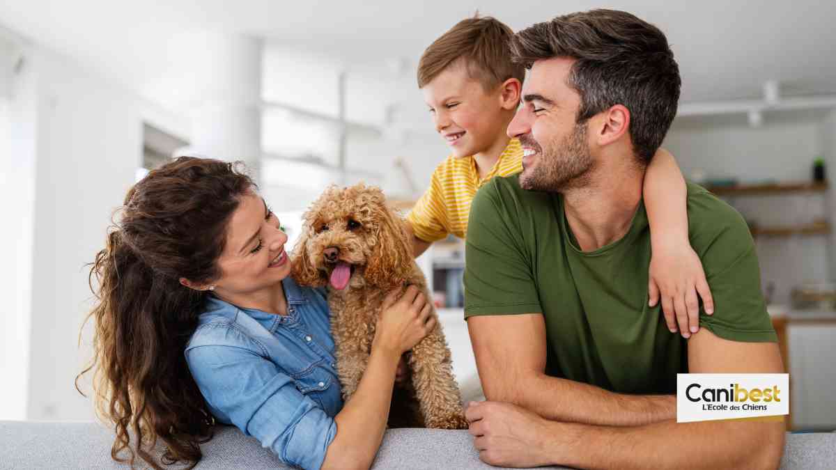 Les chiens héros du confinement mis à l&rsquo;honneur