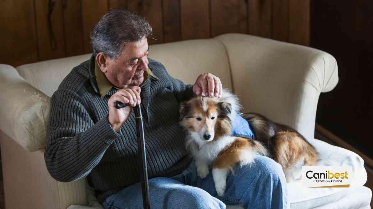 Rennes (35) : des chiens médiateurs dans un Ehpad