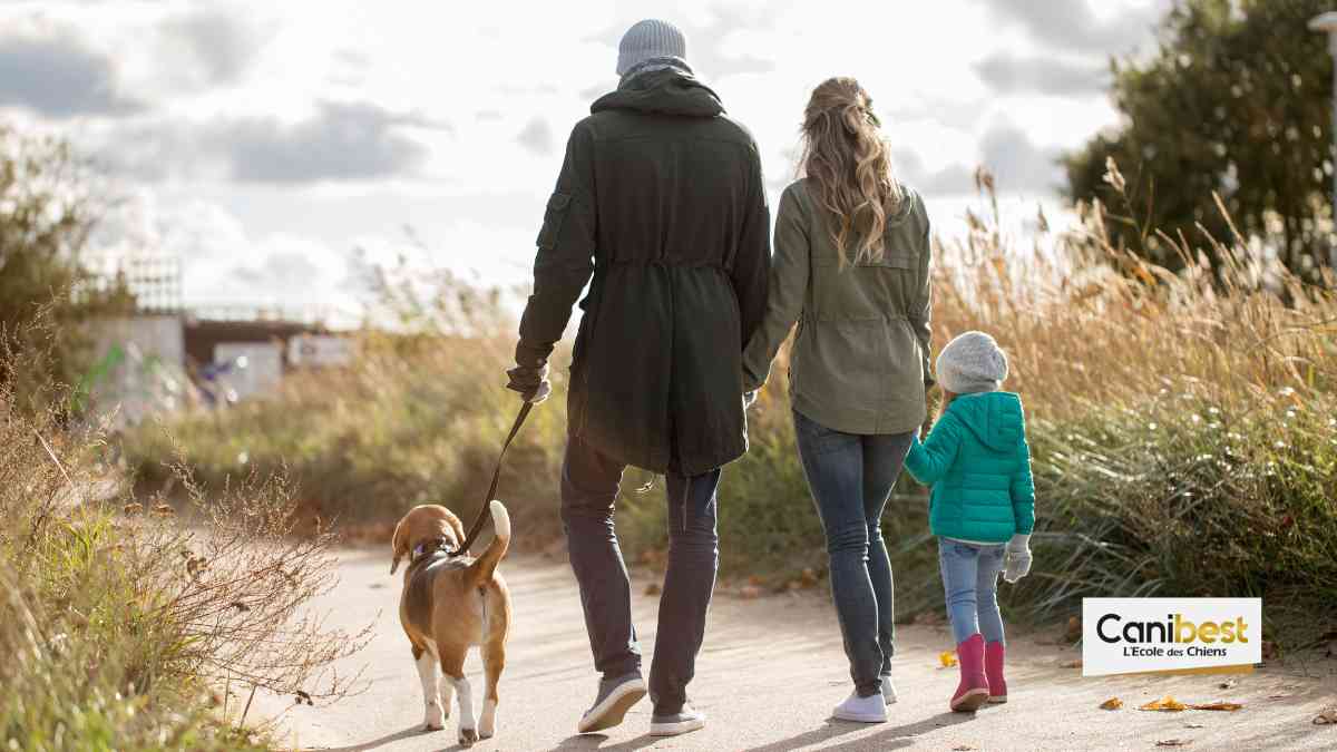 Promener son chien en Allemagne sera bientôt obligatoire.