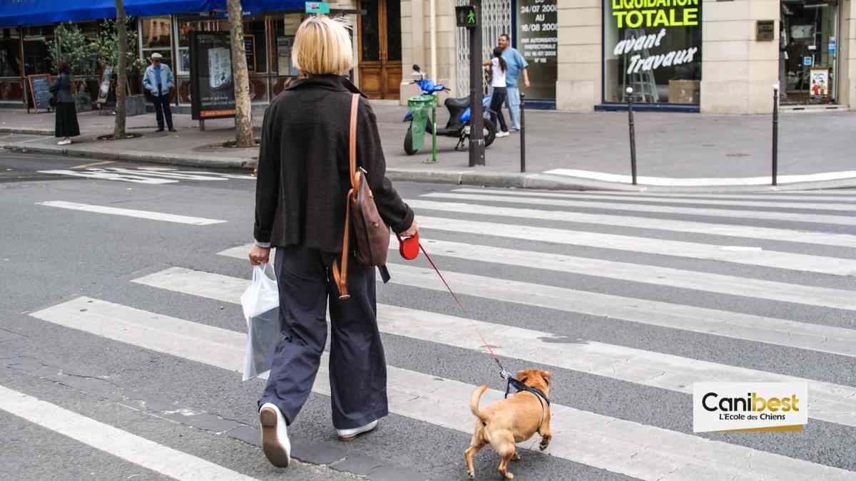 Paris la 2ème ville « pet friendly » en Europe