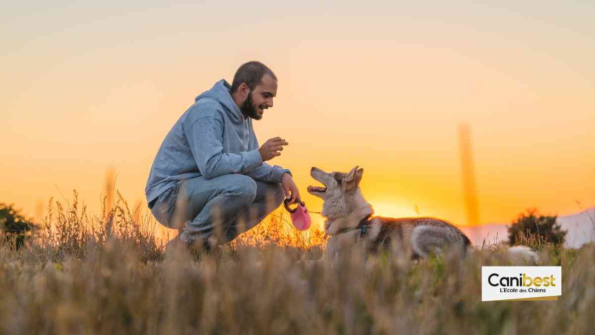 Canine Academy : Canibest décrypte la série