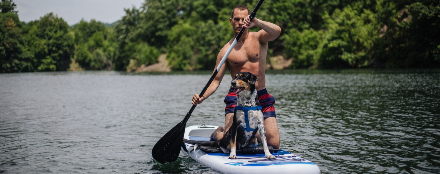 Dog Masters 2021, le cani-paddle en compétition !