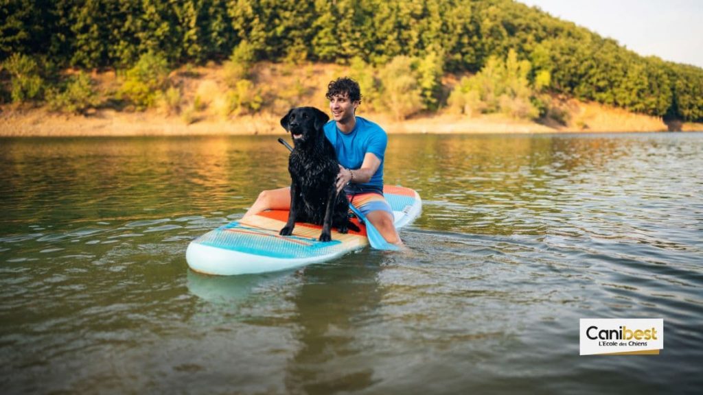 Dog Masters 2021, le cani-paddle en compétition !