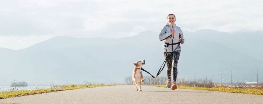 Le canicross : guide du débutant pour un sport à six pattes