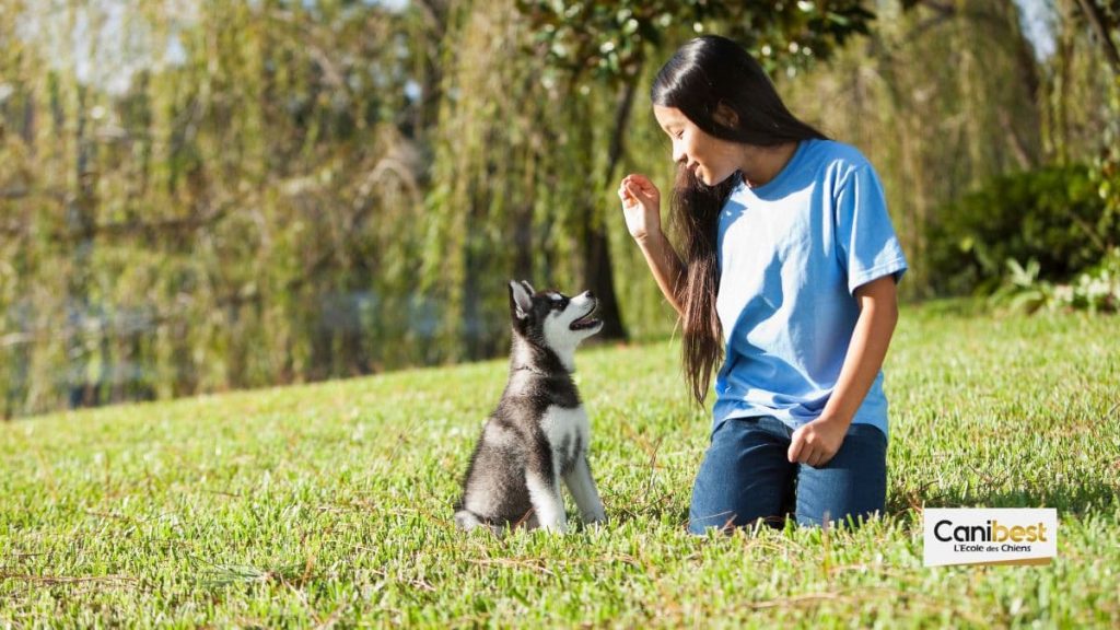 Comment éduquer un chiot ?
