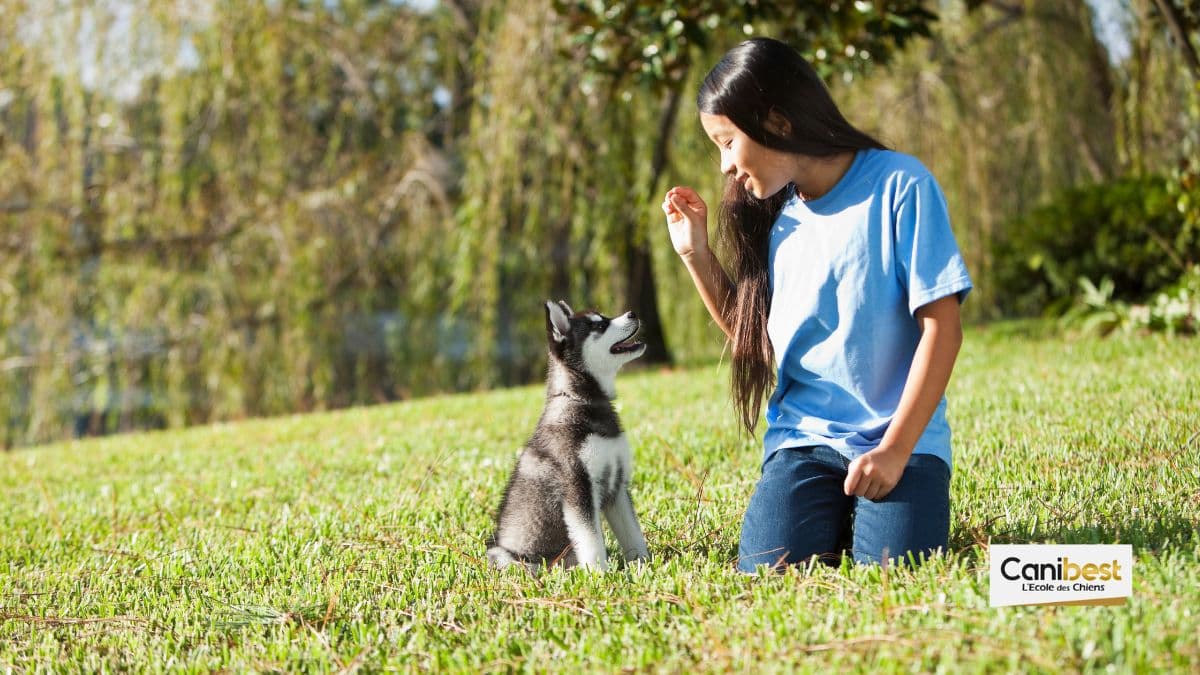 Comment éduquer un chiot ?