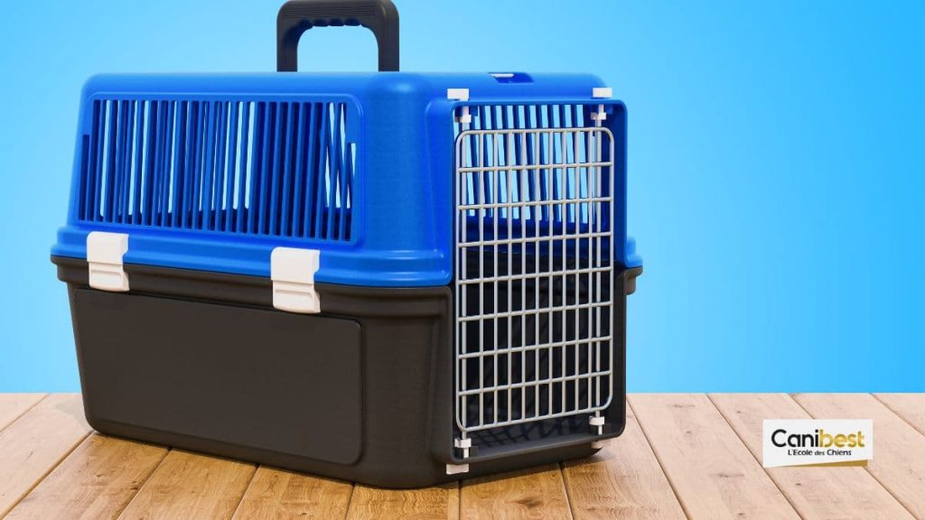 Cage pour chien en plastique