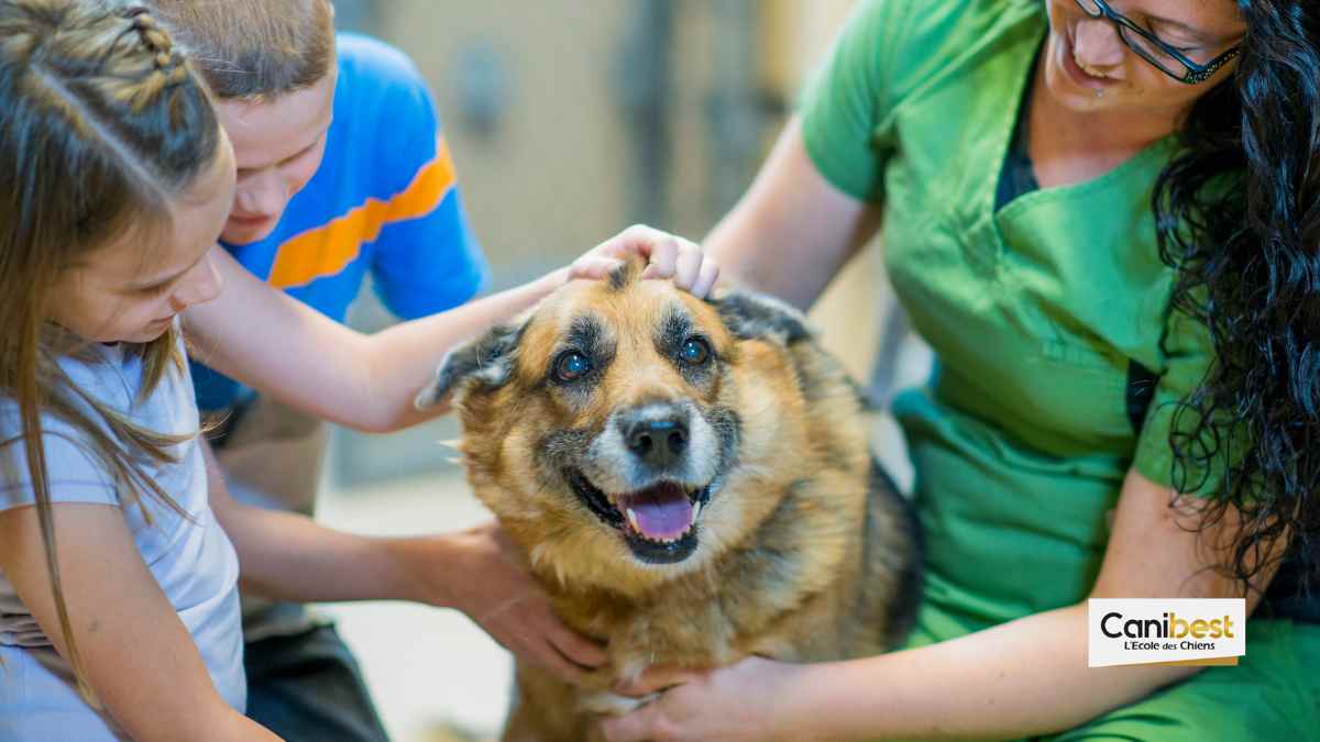 Des chiens à câliner dans les aéroports