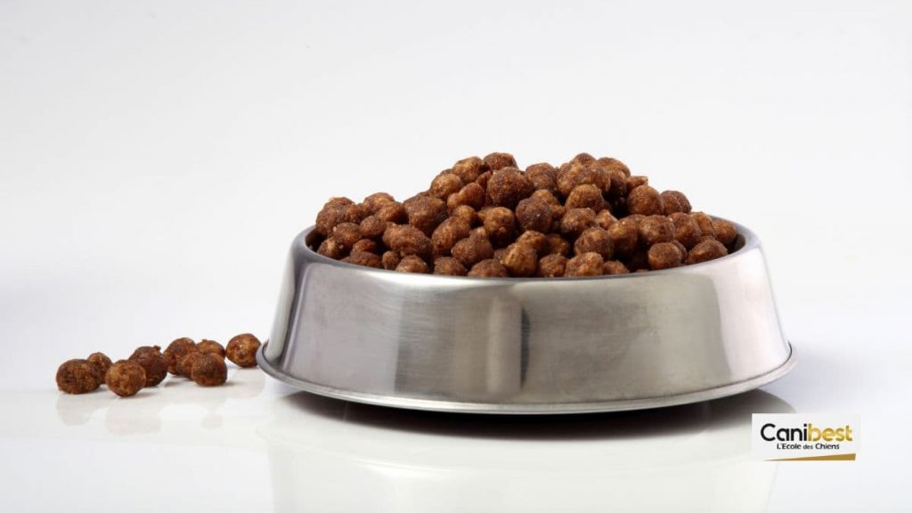 Gamelle sans socle (1)