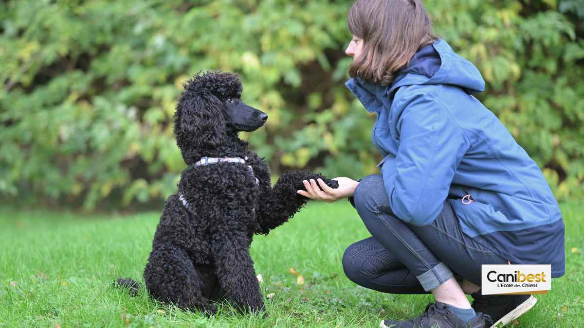 Ian Dunbar et l&rsquo;éducation canine