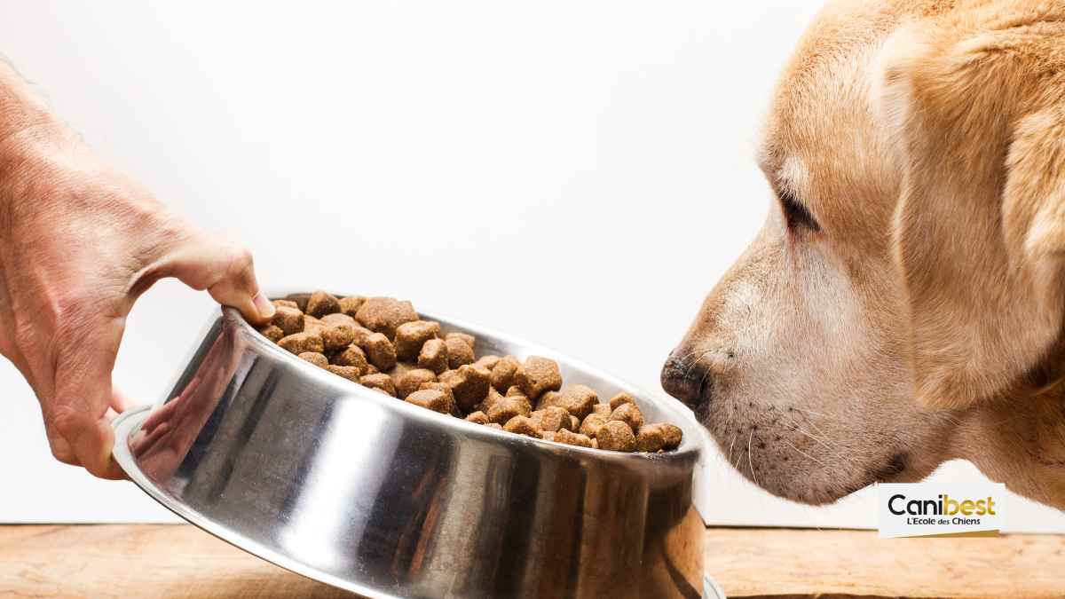 Menacé pour avoir dénoncé le Petfood