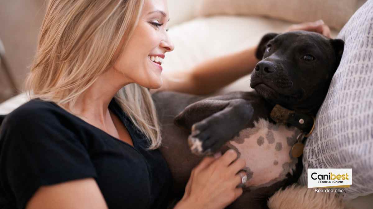 Métier : Câlineur pour chien