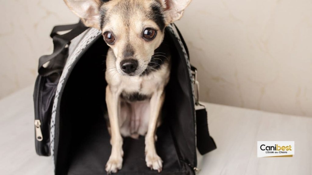 Les cages pour chien en tissu :