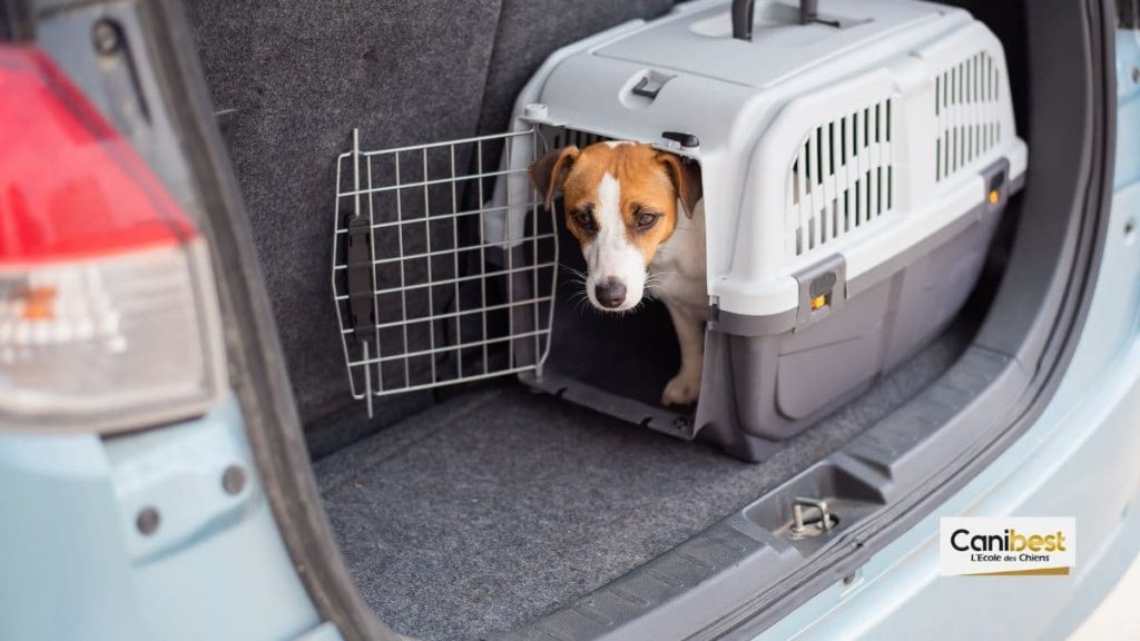 Les cages destinées aux coffres de voiture