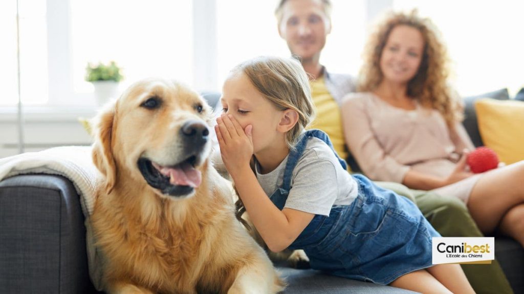 vocabulaire dressage chien