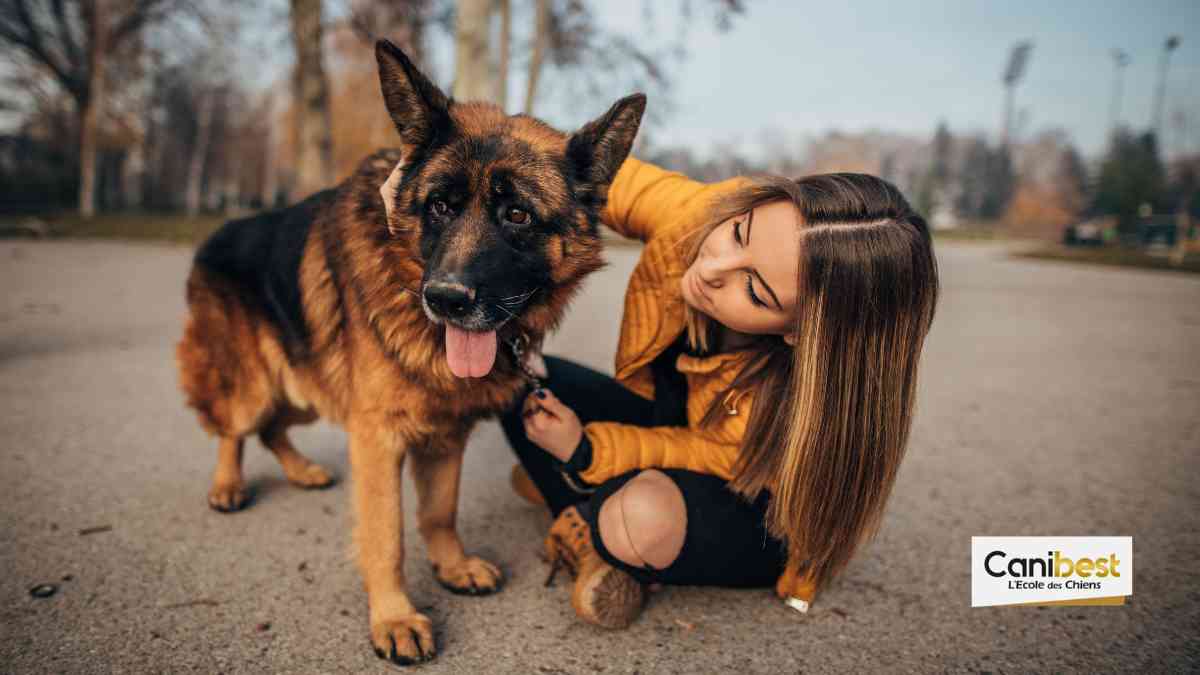 Comportementaliste animalier