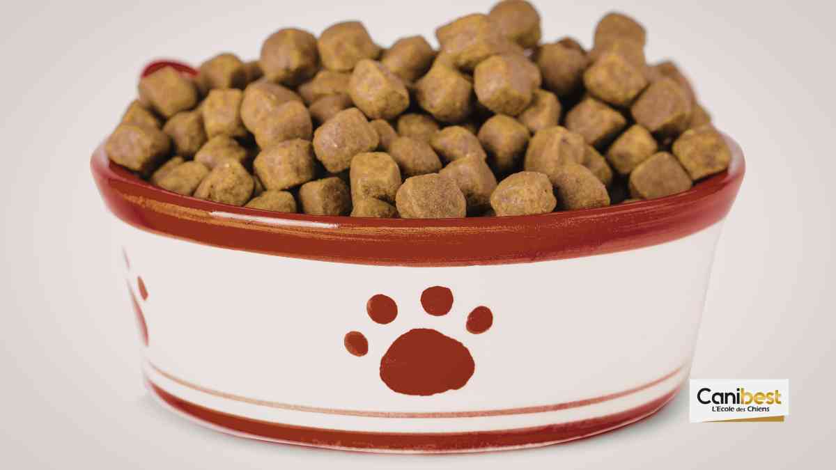 Croquettes pour chien