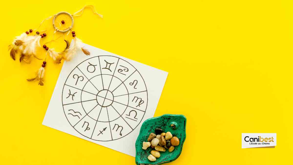 L'horoscope des chiens, astrologie canine