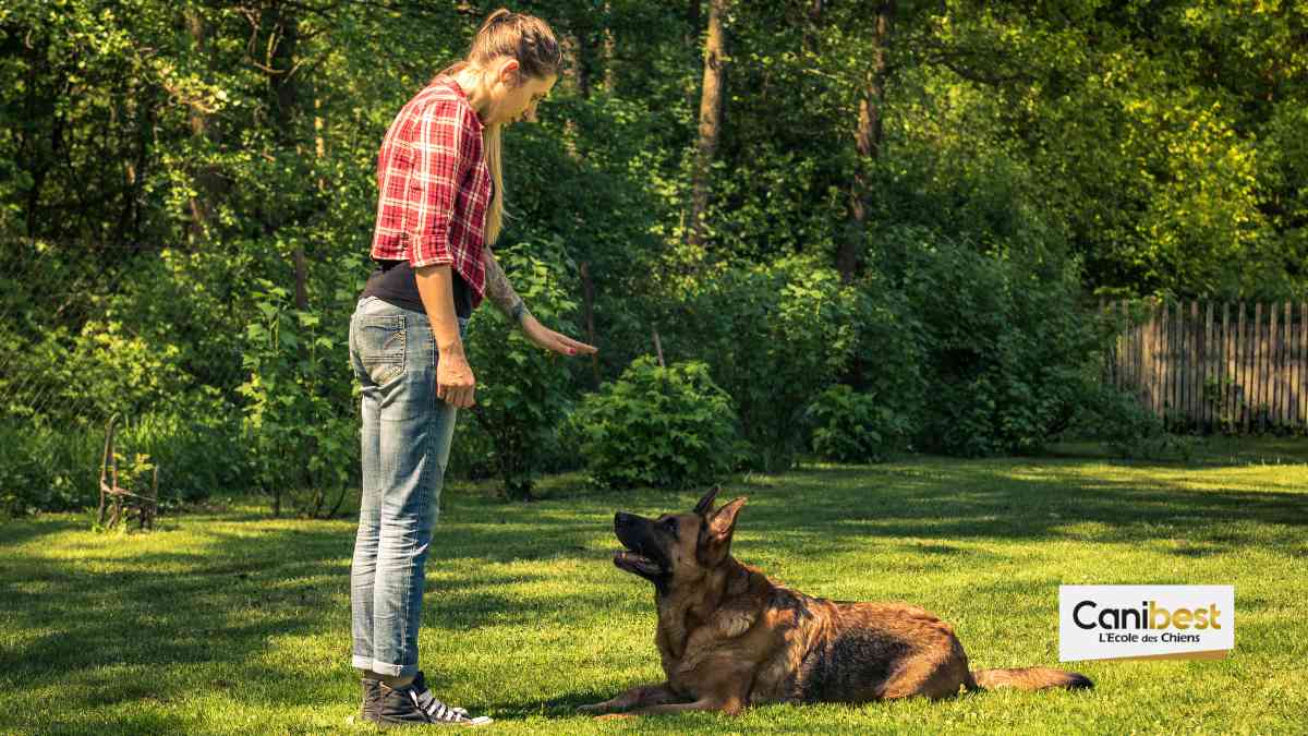 Obérythmée - sport canin