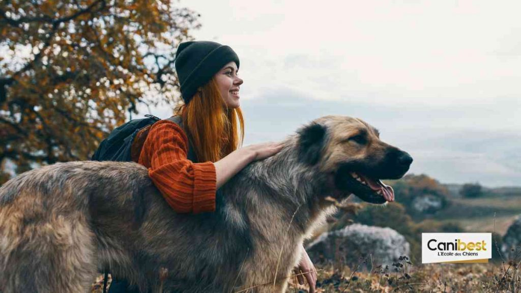 Voyager avec son chien en Afrique