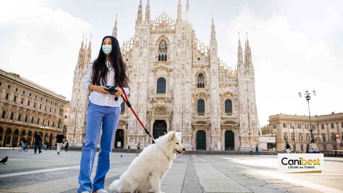 Voyager avec son chien en Europe