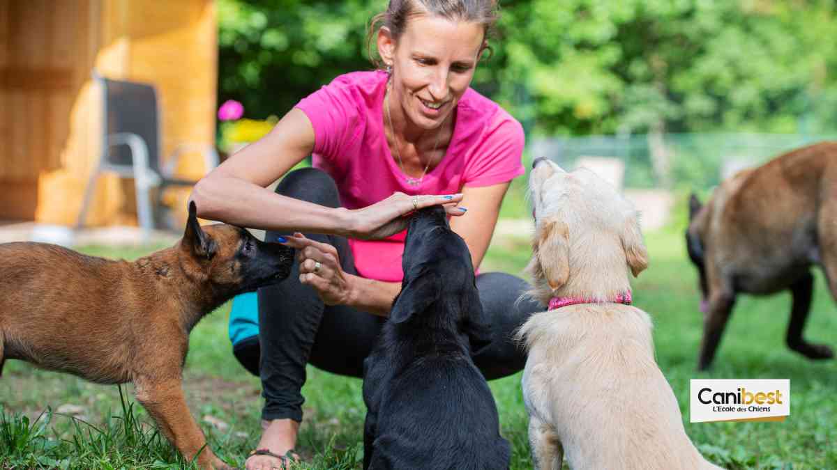 éducateur canin comportementaliste Oise (60) éducation de chien en douceur