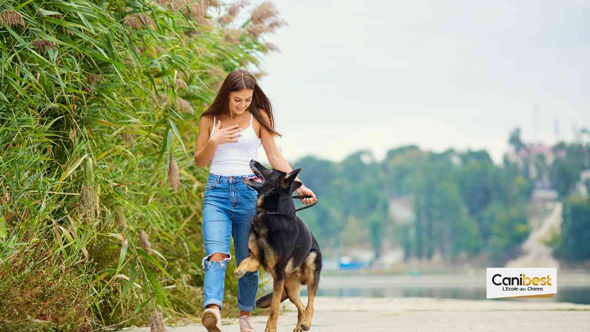 educateur-canin-dressage-91-essonne